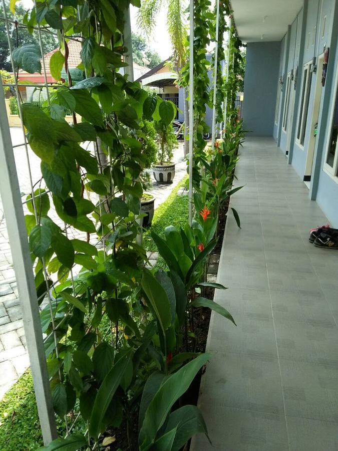 Clover Homestay Probolinggo Exterior foto